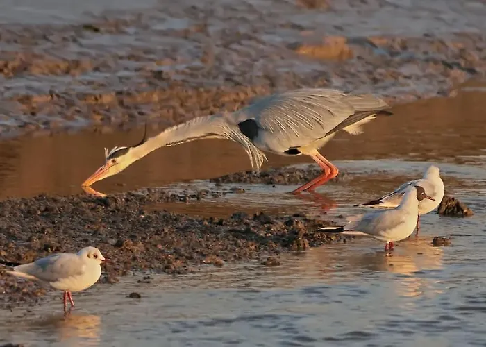 別荘 Rencontre Terre Et